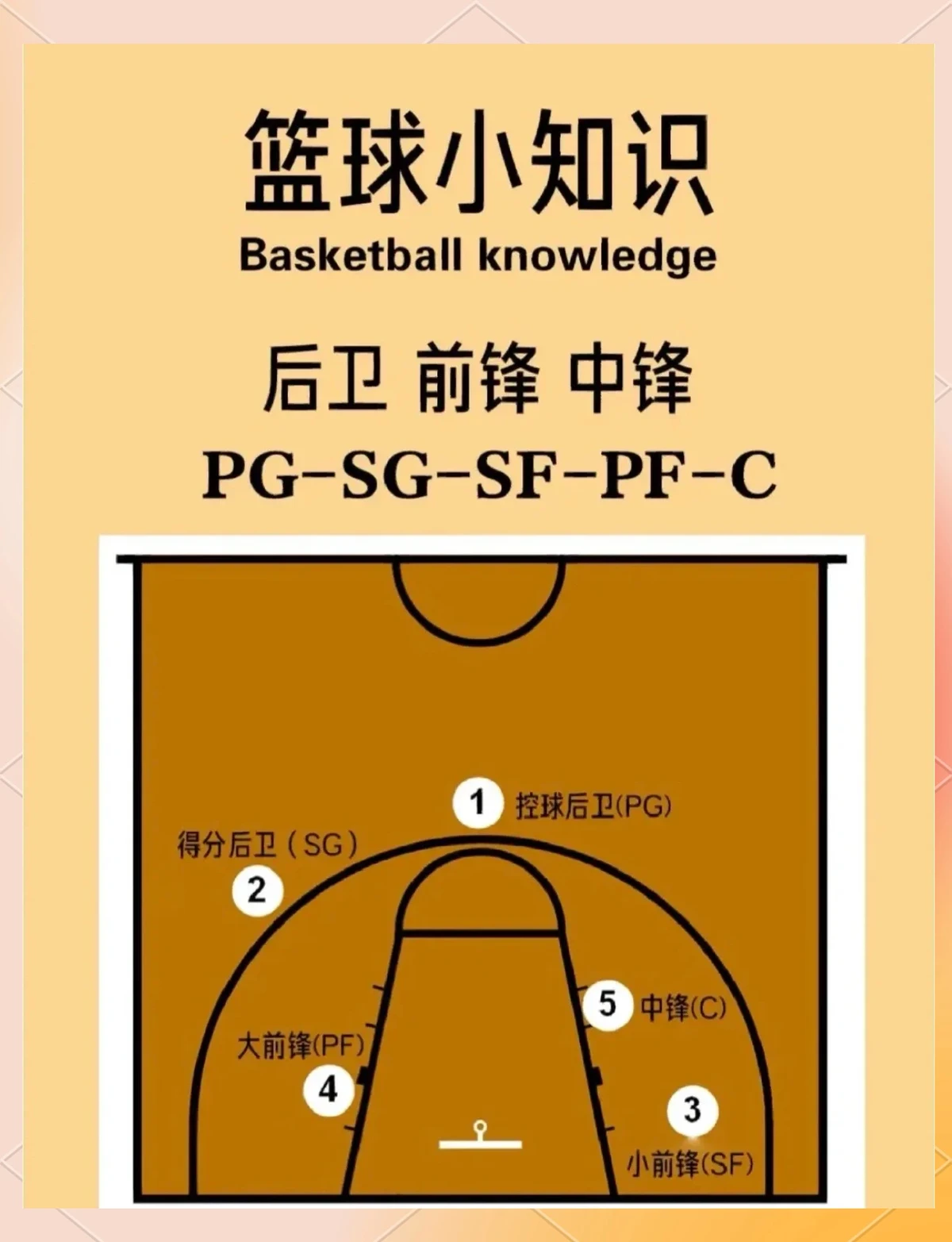 为什么篮球中锋位置的训练特别重要